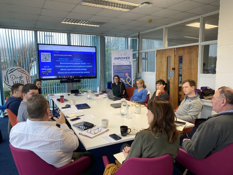 data sharing workshop dingle